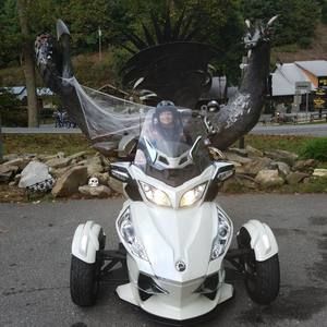 Meet your Posher, Patty